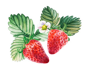 Watercolor red juicy strawberry with leaves. Food background, painted bright composition. Hand drawn food illustration. Fruit print. Summer sweet fruits and berries.