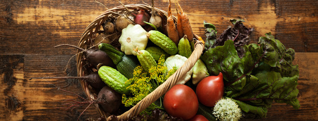 Fresh organic raw vegetable food. Natural agriculture farm, healthy harvest.