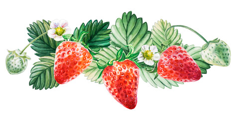 Watercolor red juicy strawberry with leaves. Food background, painted bright composition. Hand drawn food illustration. Fruit print. Summer sweet fruits and berries. - 282583223