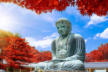 The Great Buddha of Kamakura at autumn season with red leaf, Kanagawa,Japan. Originally housed in a hall that was destroyed twice in the 14th Century, the great Buddha at Kotoku-in Temple..