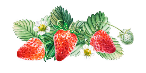 Watercolor red juicy strawberry with leaves. Food background, painted bright composition. Hand drawn food illustration. Fruit print. Summer sweet fruits and berries. - 282583832