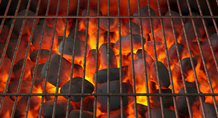 Charcoal Fire And Grid - obrazy, fototapety, plakaty