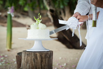 Wedding cutting a wedding cake on wedding day.