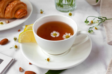 Still life with herbal tea and daisies. French breakfast, provence style, pleasure time. Close up.