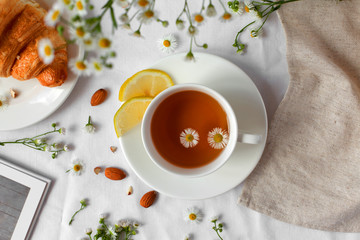 Summer still life with lemon tea and daisies on the table. Traditional medicine, cold and flu treatment. Flat lay