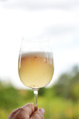 A glass of white wine mixed with peach fruit.