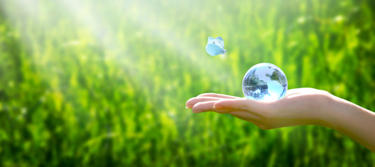 Earth crystal glass globe in human hand and flying butterfly with blue wings on grass background....