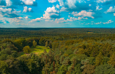Obraz premium panorama view of meadow in forest , beautiful landscape with forest and a fluffy clouds, natural background