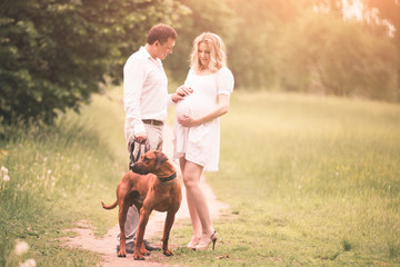 Fototapeta premium happy couple future parents on the walk with the dog in the Park
