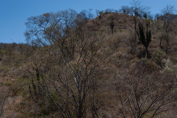 Mexico Copper Canyon Railroad 