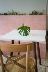 Green plant leave in vase cozy interior concept