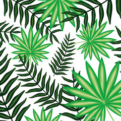 Naklejka na ściany i meble set of tropical leafs plants pattern background