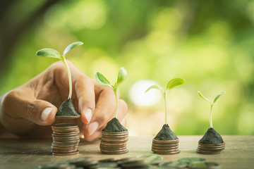 ้Hand holding coin with plant growing, finance, banking, and business investment growth concept.