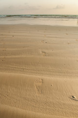 close up of footprints on the beach with golden sand