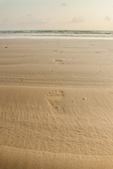 close up of footprints on the beach with golden sand