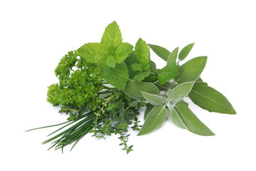 Mélange de plantes aromatiques