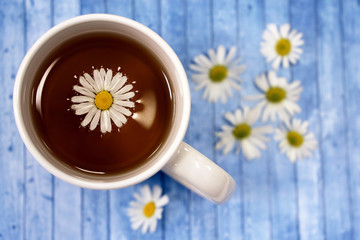Chamomile tea in a white cup and daisy flowers on a blue wooden table, healing herbal drink