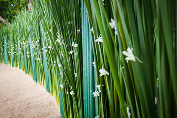 Floral arrangement at a wedding ceremony on beach.