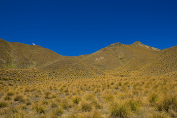 ニュージーランドの高原