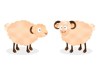 Cartoon character of two sheep standing on white background.