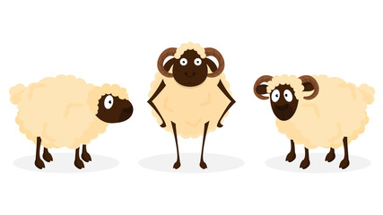 Set of sheep animal character standing on white background.