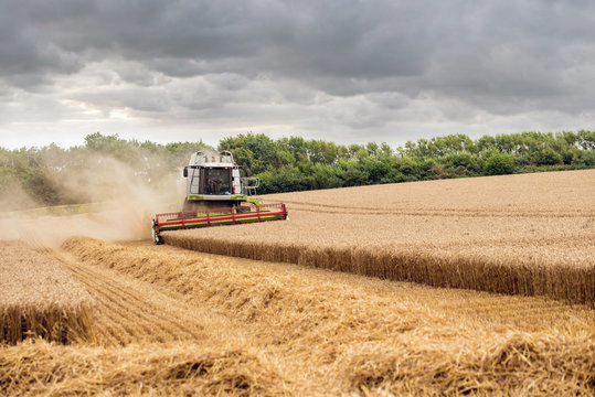 beautiful view of a combine harvester in action in the fields
