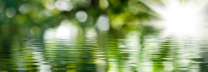 blurred image of natural background from water and plants