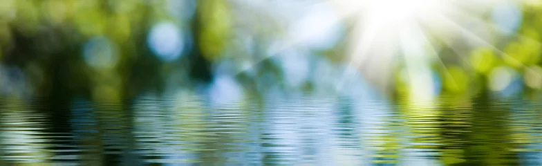 Zelfklevend Fotobehang wazig beeld van natuurlijke achtergrond van water en planten © cooperr