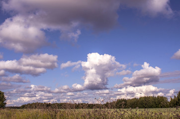 Fototapeta na wymiar Cumulus clouds soar in the sky in the sun, above the horizon, copy space, instagram.