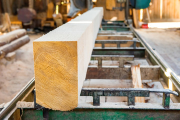 Big wooden log in the timber factory
