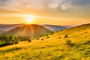 Gordijnen Sunset in the mountains with forest, green grass and big shining sun on dramatic sky © Pavlo Vakhrushev