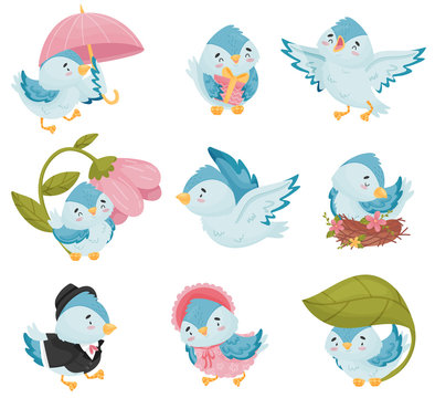 Cartoon blue birds in different situations. Vector illustration on white background.