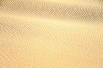 Wavy texture of sand 