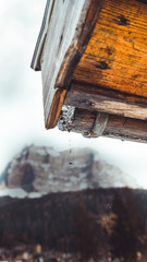 Alcuni Scatti della valle di Zoldo 