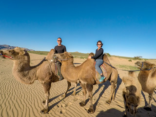 Tourist Camel Ride