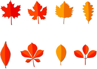 Autumn leaves flat icon set, vector paper cut effect.