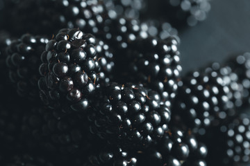 Fresh blackberry on a black background