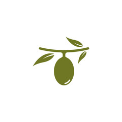 Set of Olive logo vector illustration design 