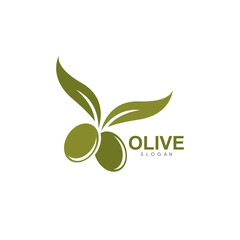 Set of Olive logo vector illustration design 