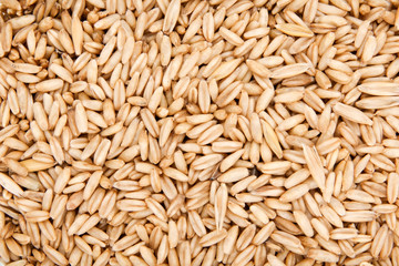 oat and millet seeds full as background