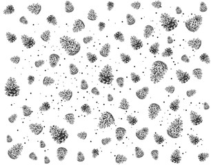 Pine cone pattern. Hand drawn illustration.