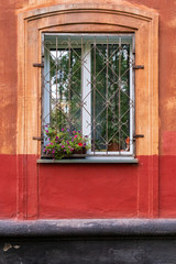 window with decorative grille and box with colorful flowers