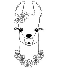 Cute black-white lama with flowers. Peruvian animal, llama for coloring, childish print for fabric, t-shirt, poster, card, and different design. Vector illustration.