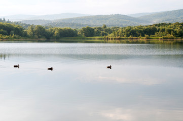 beautiful summer lake against the background of high mountains and blue sky