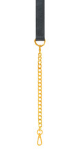 Fototapeta na wymiar llleather Sash and gold chain and clip lock isolated on white with clipping path