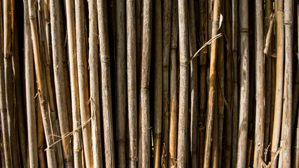 Natural bamboo fence background texture