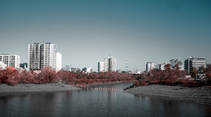 Naklejka premium skyline 