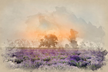 Digital watercolour painting of Beautiful dramatic misty sunrise landscape over lavender field in English countryside