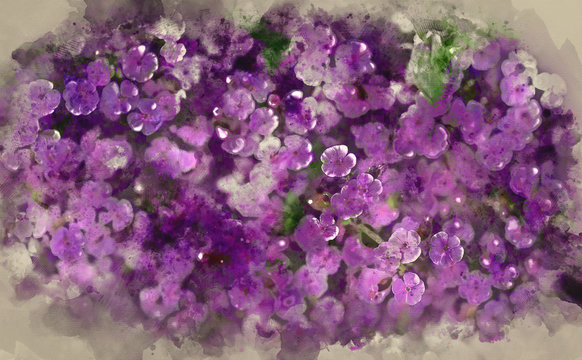 Digital watercolour painting of top view image of purple wild flower landscape