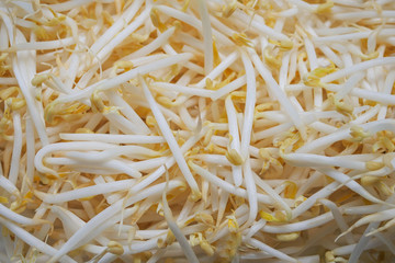 Fresh bean sprouts with cooking
